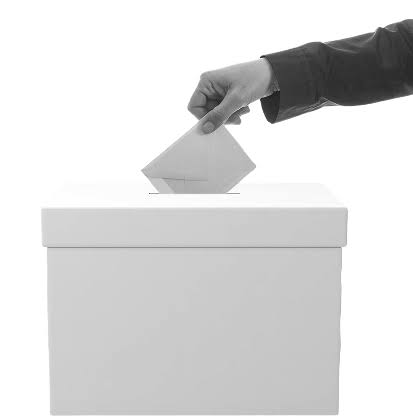 Voter Login